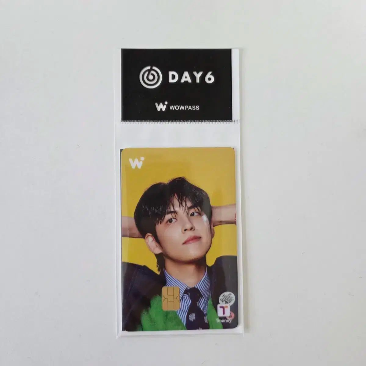 DAY6 デイシックス ワウパス ウォンピル WONPIL 交通カード