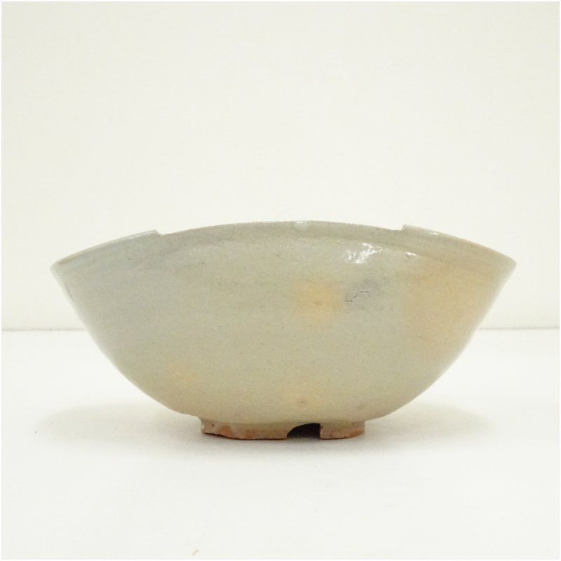 信楽焼 寺垣外窯 杉本貞光造 筆洗茶碗（銘：清）（大徳寺立花大亀書付