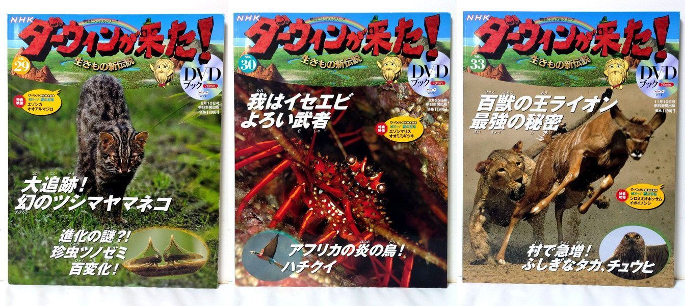 NHKダーウィンが来た！DVDブック 34冊 全てDVD未開封 - メルカリ