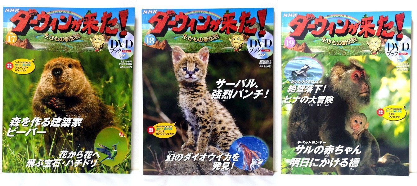 【DVD付き】NHKダーウィンが来た!　DVDブック　1〜40巻 DVD付き】NHKダーウィンが来た! DVDブック 1〜40巻 朝日新聞出版 最新