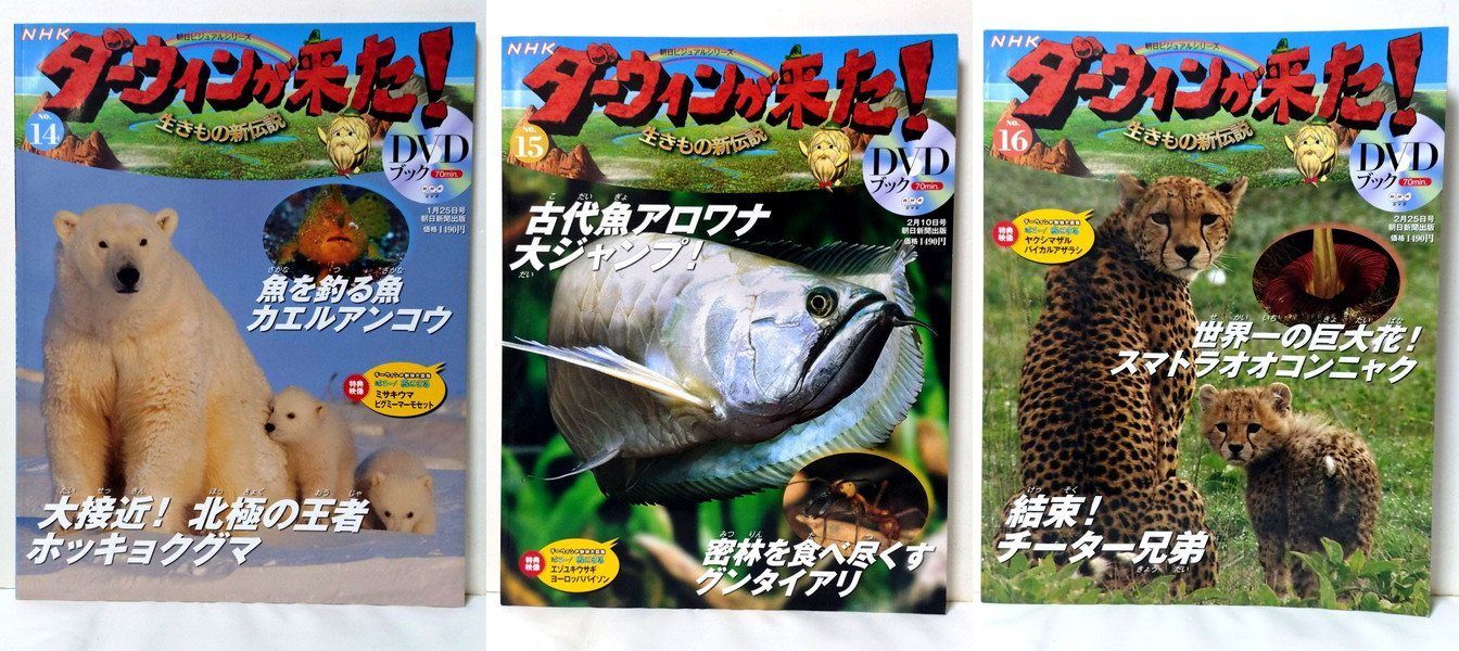 【DVD付き】NHKダーウィンが来た!　DVDブック　1〜40巻 DVD付き】NHKダーウィンが来た! DVDブック 1〜40巻 朝日新聞出版 最新