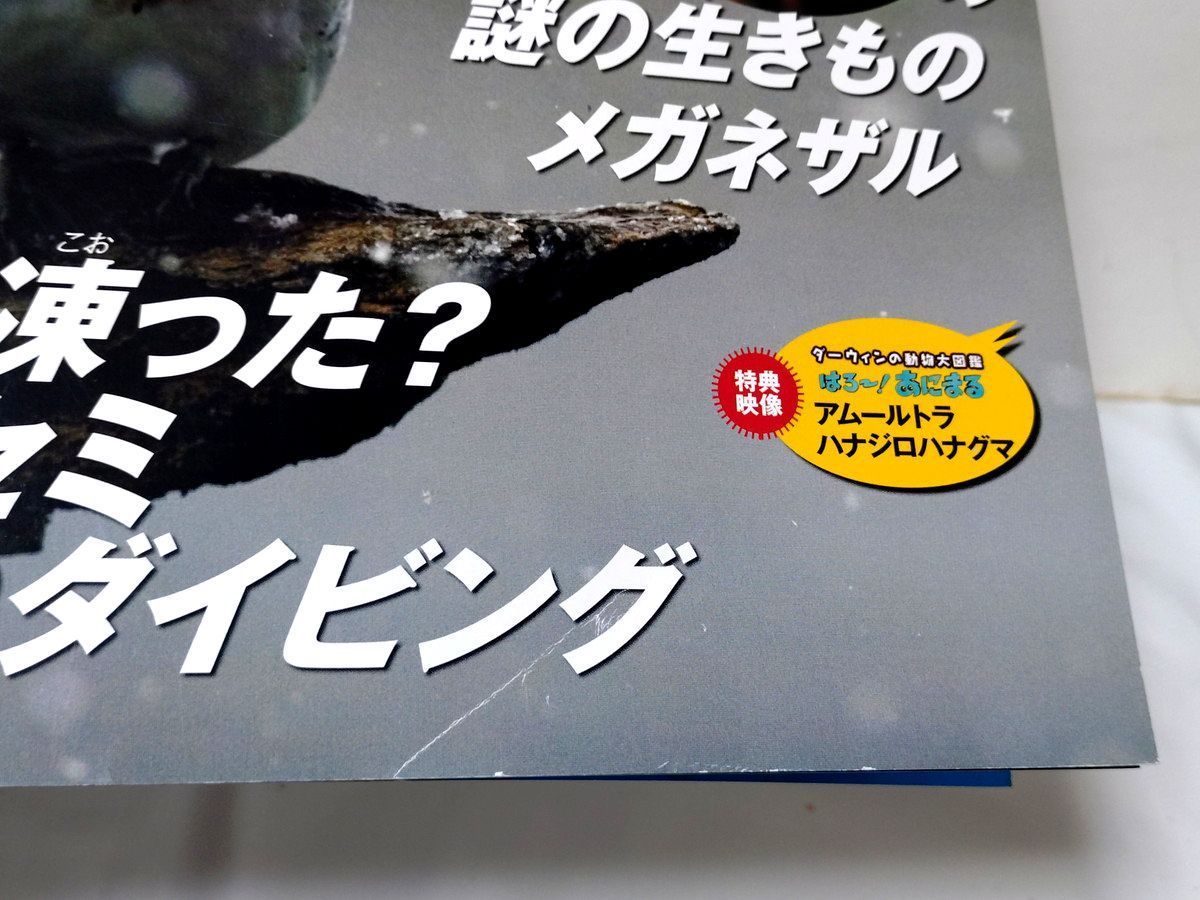 NHKダーウィンが来た ＤＶＤブック