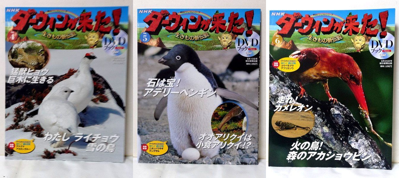 NHKダーウィンが来た！DVDブック 34冊 全てDVD未開封 - メルカリ