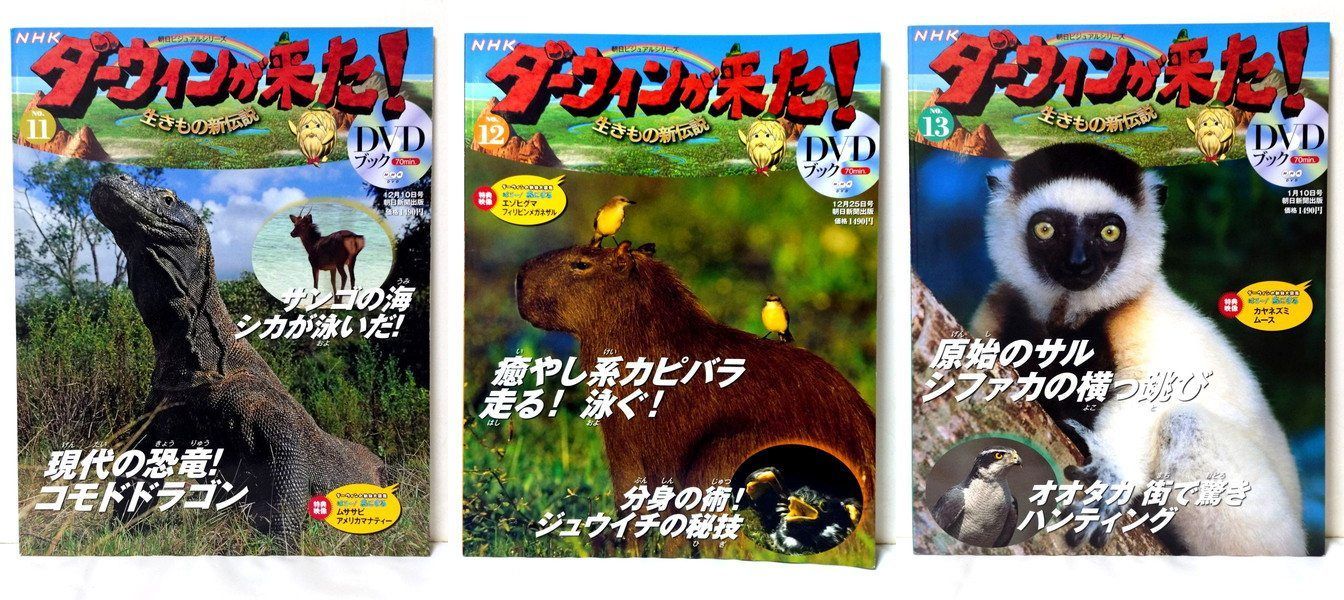  NHKダーウィンが来た ＤＶＤブック 34冊 全てDVD 趣味 スポーツ 実用 本