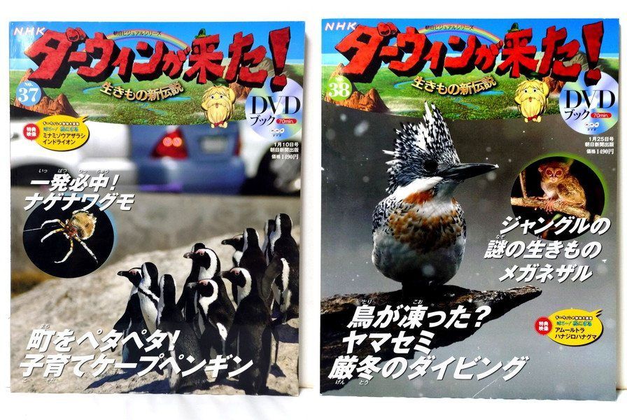 NHKダーウィンが来た！DVDブック 34冊 全てDVD未開封 - メルカリ