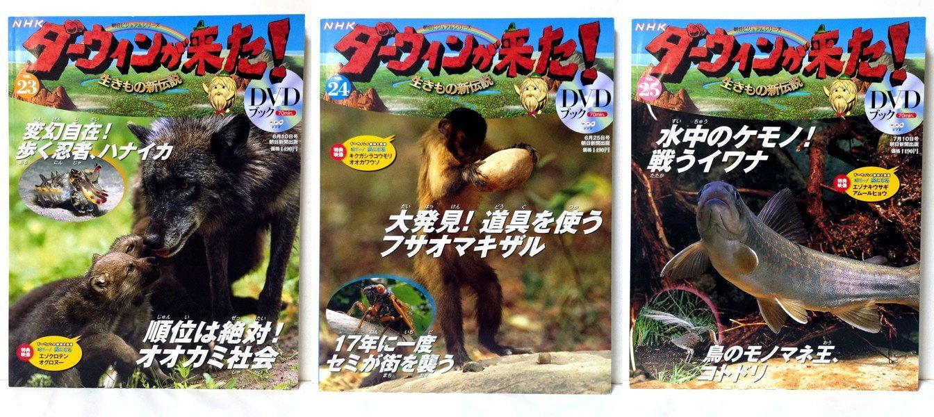 NHKダーウィンが来た！DVDブック 34冊 全てDVD未開封 - メルカリ