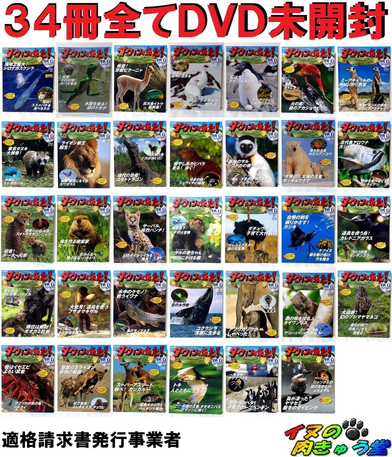 NHKダーウィンが来た！DVDブック 34冊 全てDVD未開封 - メルカリ
