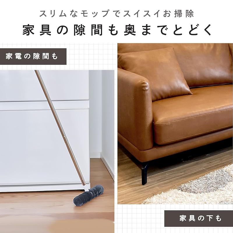 レック 激落ちくん 高密度ブラシ トレループ Premium (床・階段用タイプ ・ ブラック) くり返し使える ホコリ取り/ケースに通すとモップがキレイに/スライドケースでホコリをまとめて捨てられる