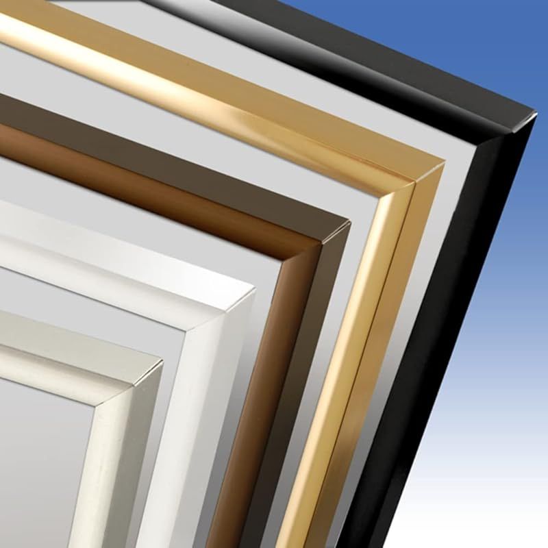 ソフケン Sofken 額縁フレーム スリムエイト B1サイズ ゴールド