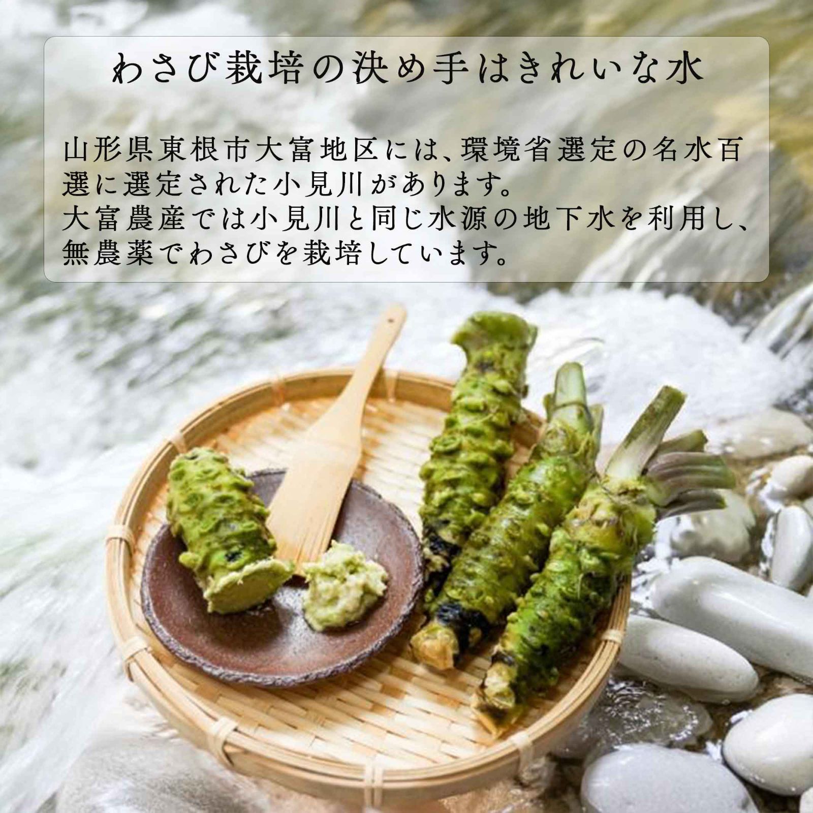 本生わさび　大サイズ 本生わさび 大サイズ 本生わさび 大サイズ 楽天市場】生わさび 特大の
