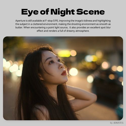  アウトレット Brightin Star 35 mm F 0 95 ソニーEマウント APS C 交換レンズ ブライティンスター レンズ(単焦点) カメラ