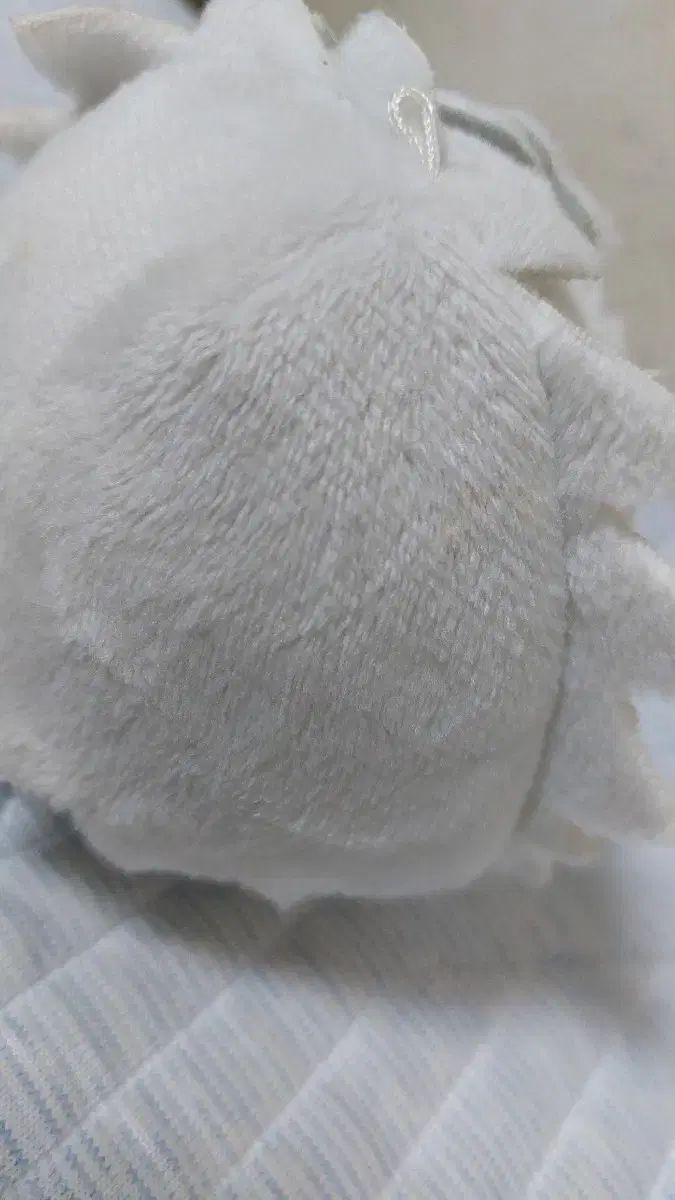 鬼滅の刃 しなずがわ さねみ ふわコロりん