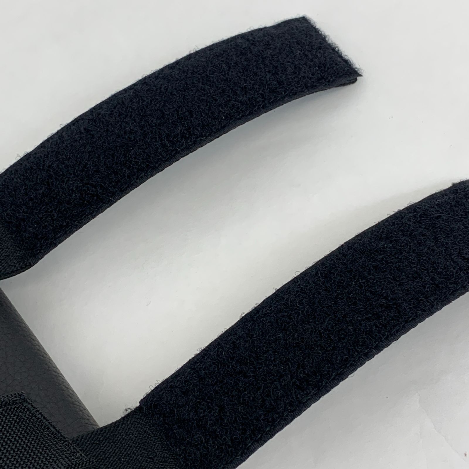 カクタスジャックコラボ