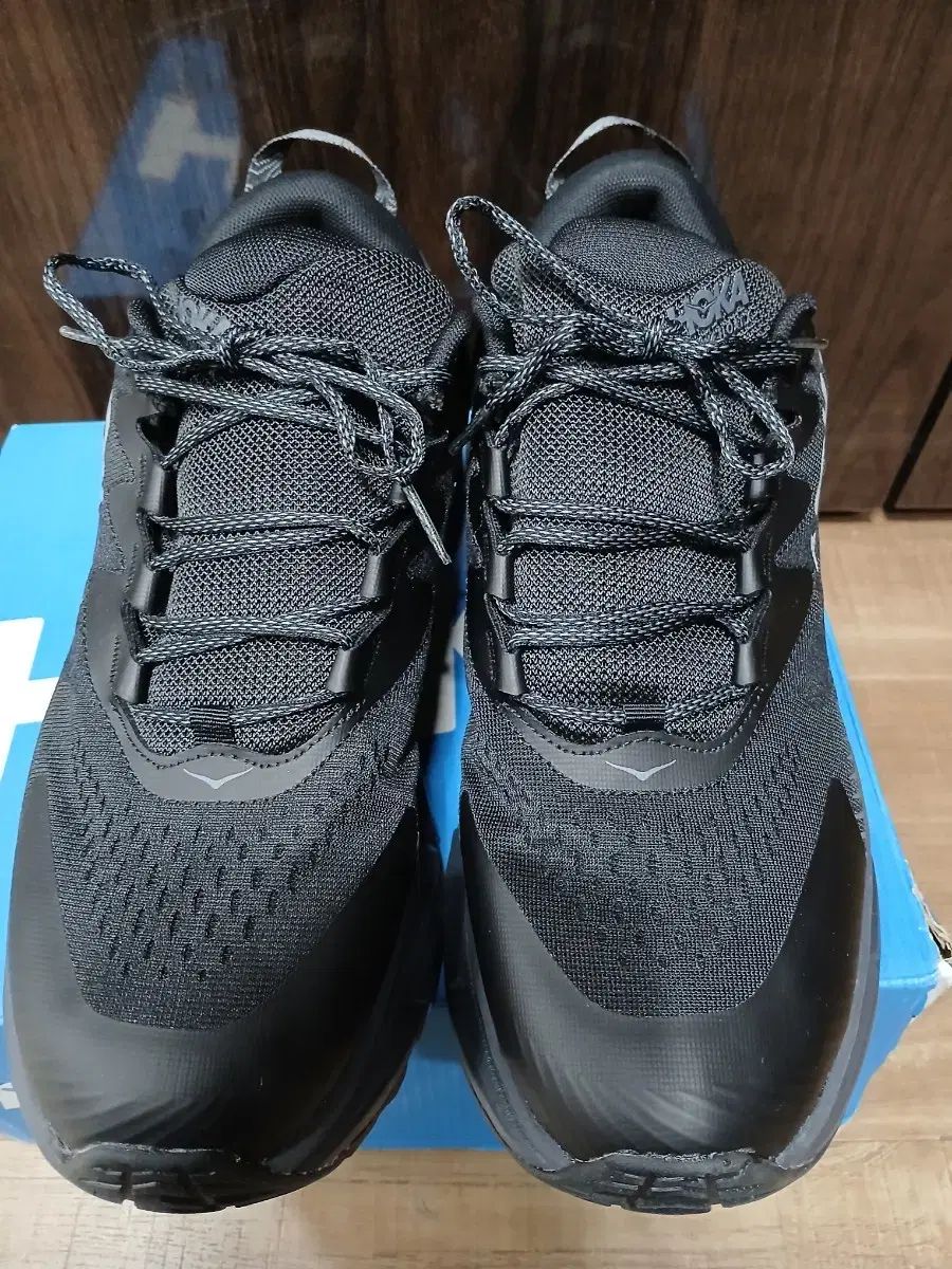 HOKA SKYLINE FLO T X men s hiking shoes 280mm