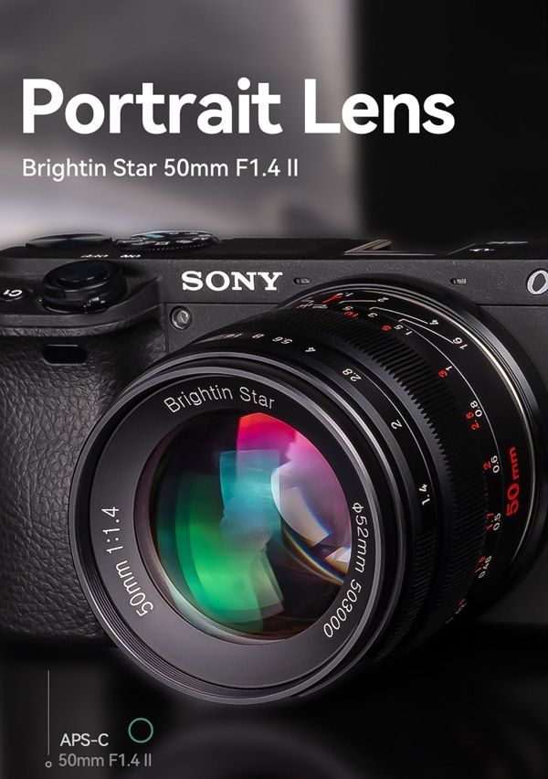 ソニーEマウント APS