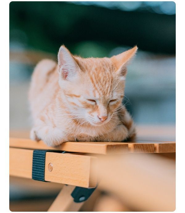 ソニーEマウント APS