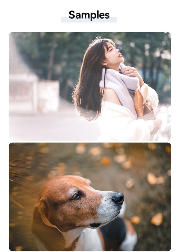 4 ソニーEマウント