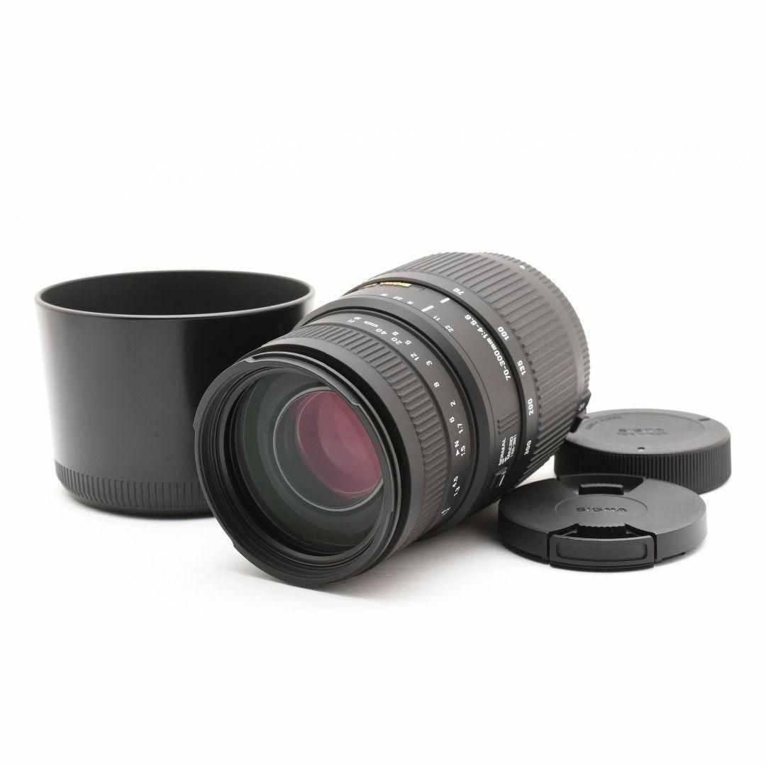 シグマ 70 300 mm f 4 5 6 DG MACRO 2513723