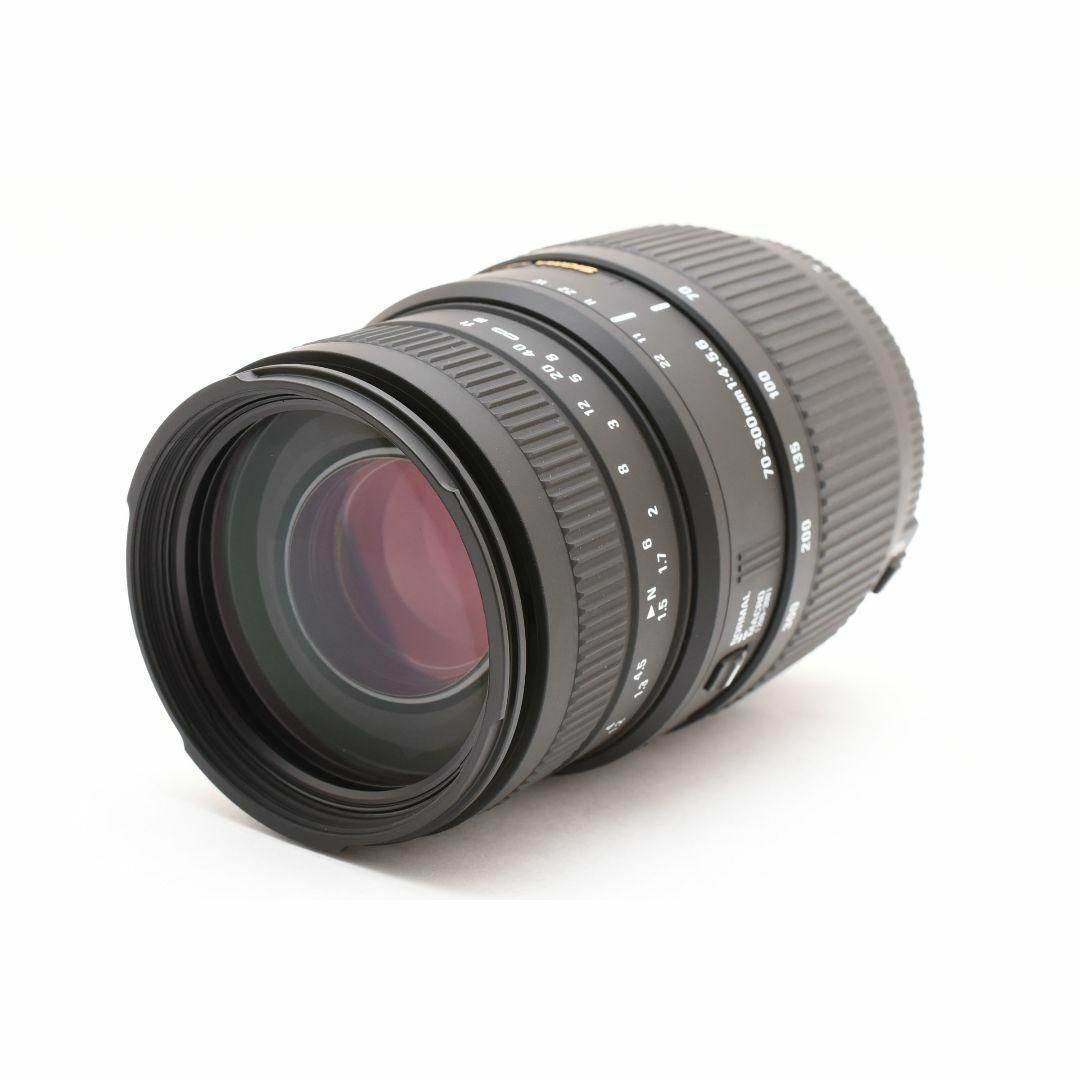 シグマ 70-300mm f4-5.6 DG MACRO 2513723