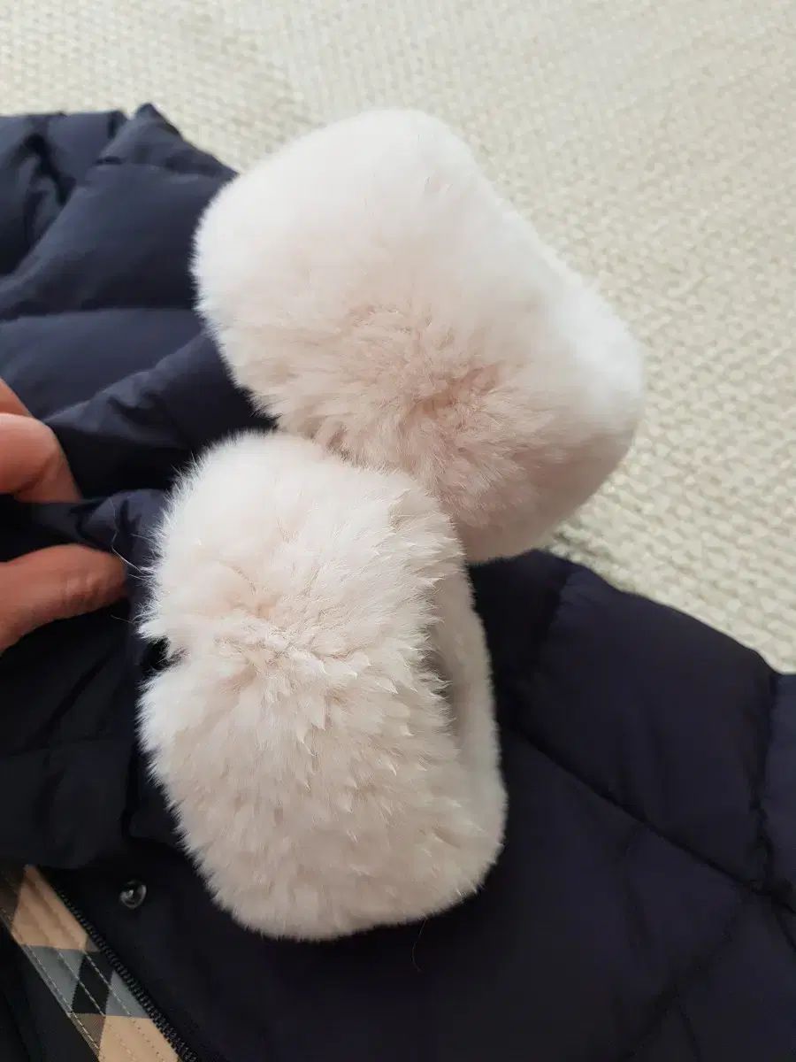 ダックス キッズ