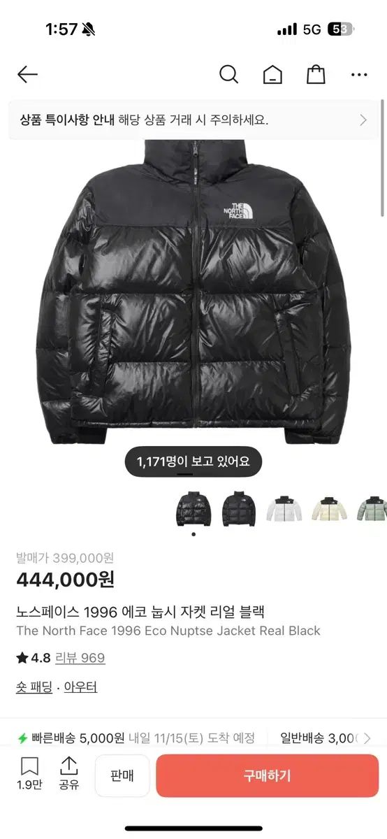 Lサイズ THE NORTH FACE 1996 エコ Nuptse ほぼ
