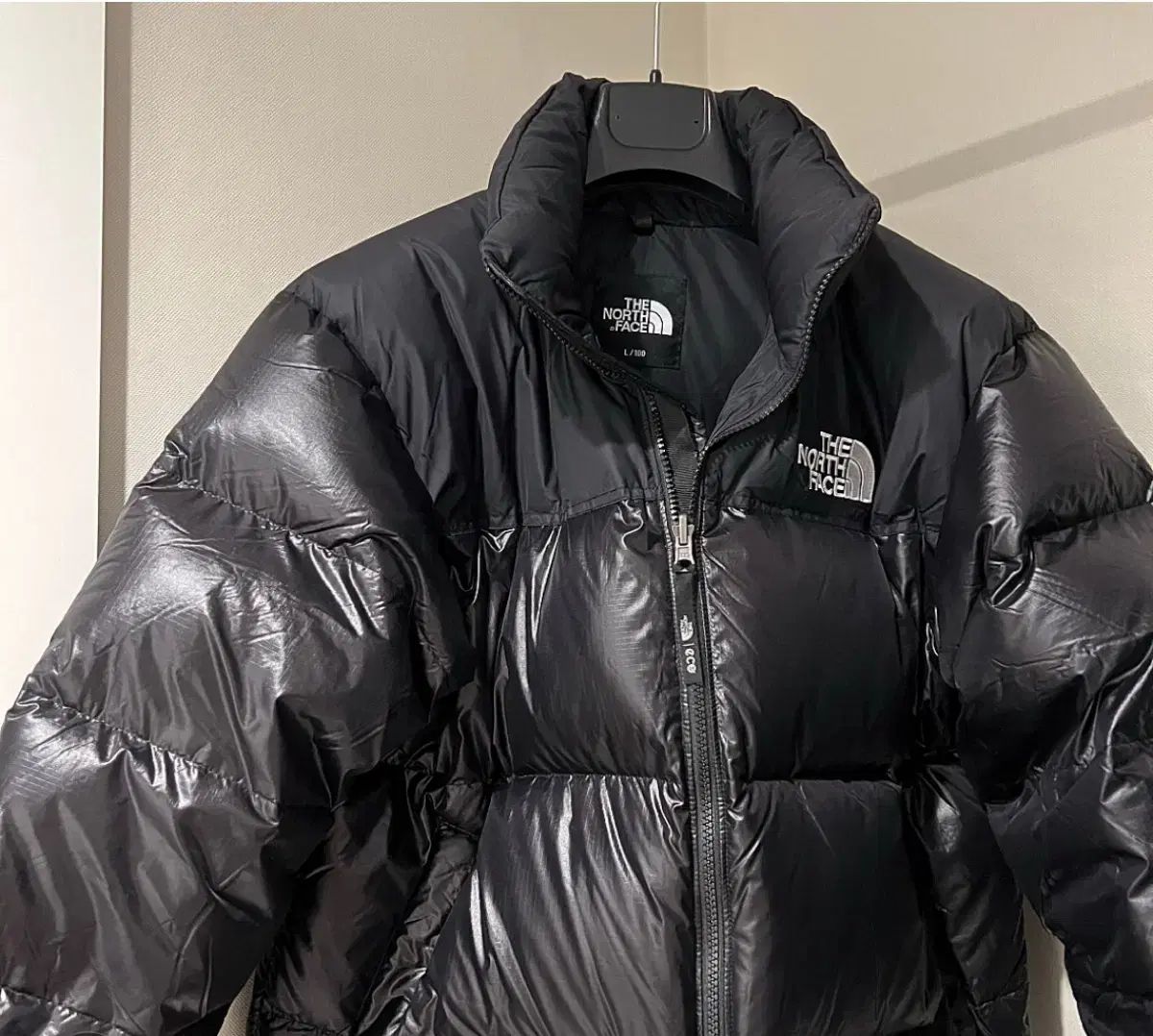 Lサイズ THE NORTH FACE 1996 エコ Nuptse ほぼ