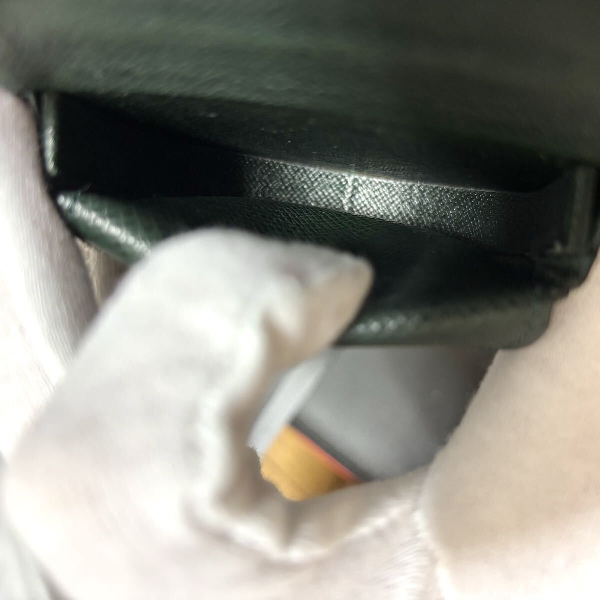 タイガ エセピア