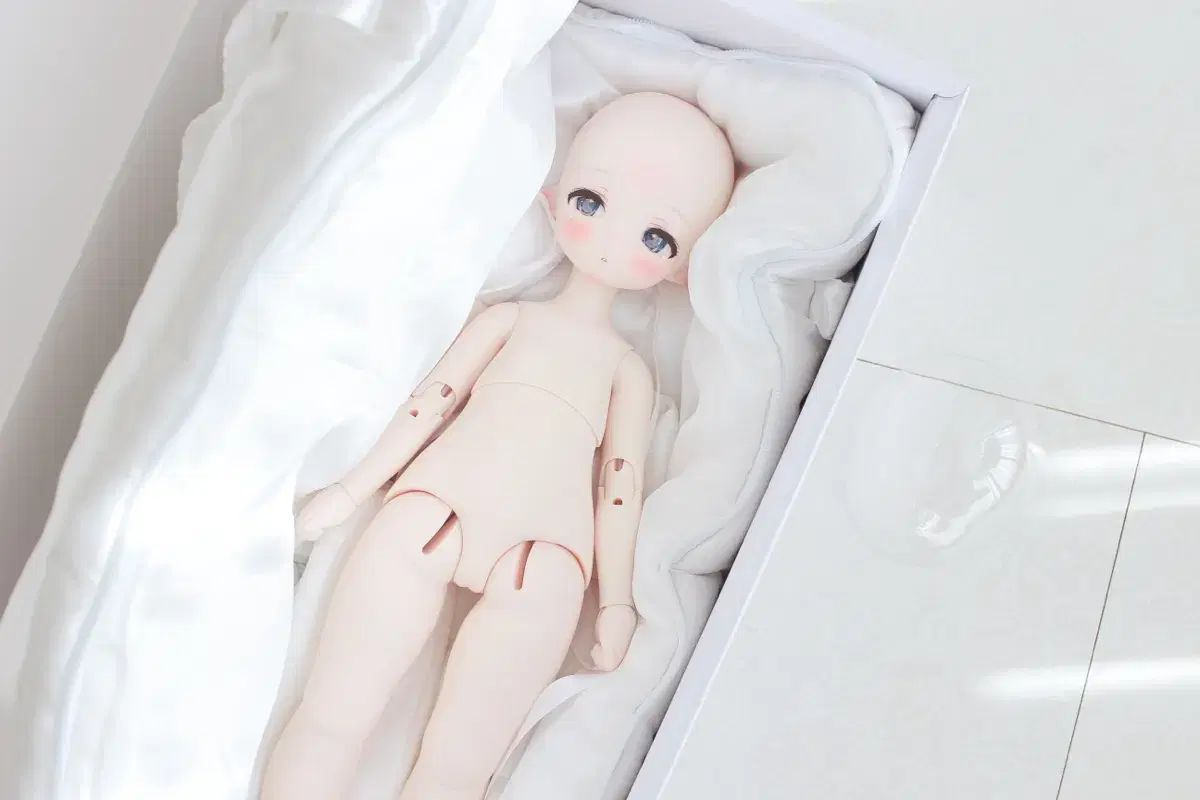 プーヨドール くまこ モモ 本体 クリーム スキン 手パーツ 6種