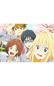 Blu-ray 四月は君の嘘 Blu-ray Disc BOX BOX ブックレット付