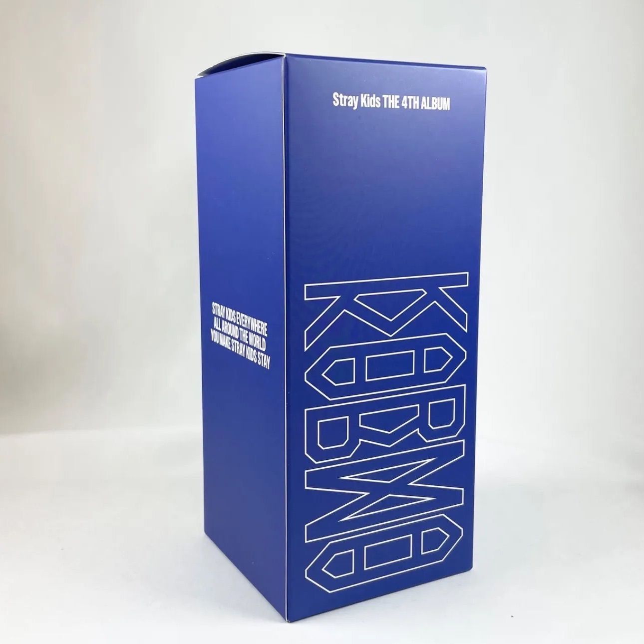 Stray Kids スキズ KARMA POP-UP SKZOO タンブラー Wolf Chan