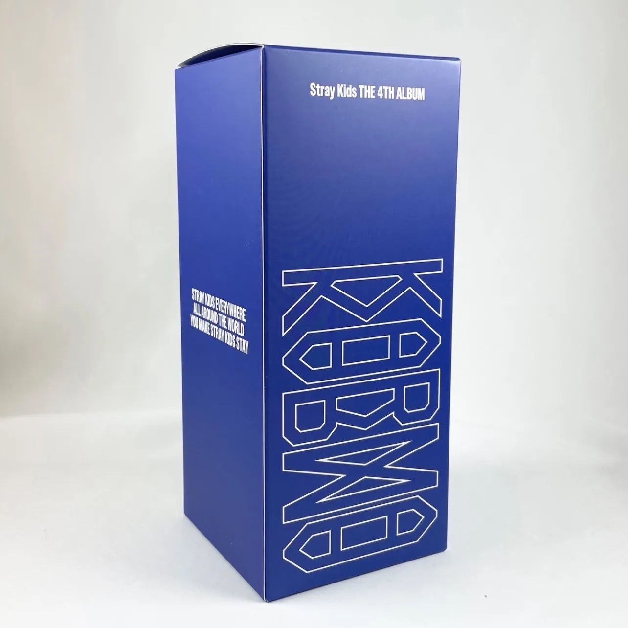 Stray Kids スキズ KARMA POP-UP SKZOO タンブラー DWAEKKI チャンビン