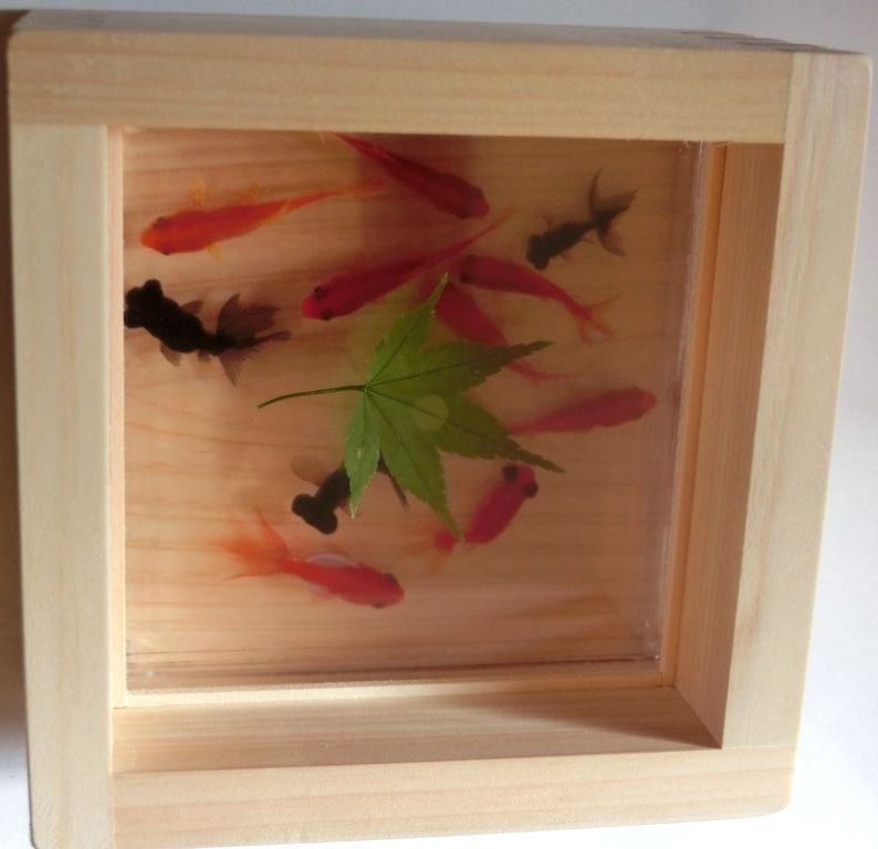 金魚 アート 祭 紅葉 プリザーブドフラワー グリーン 緑 プレゼント