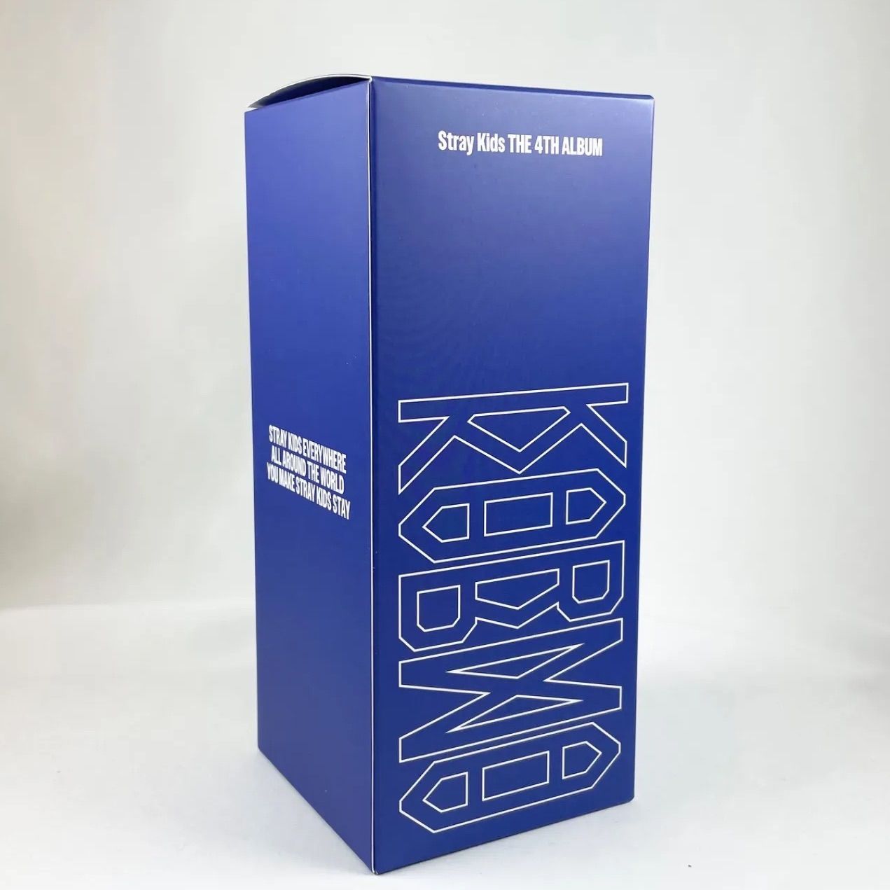 Stray Kids スキズ KARMA POP-UP SKZOO タンブラー Foxl Ny アイエン