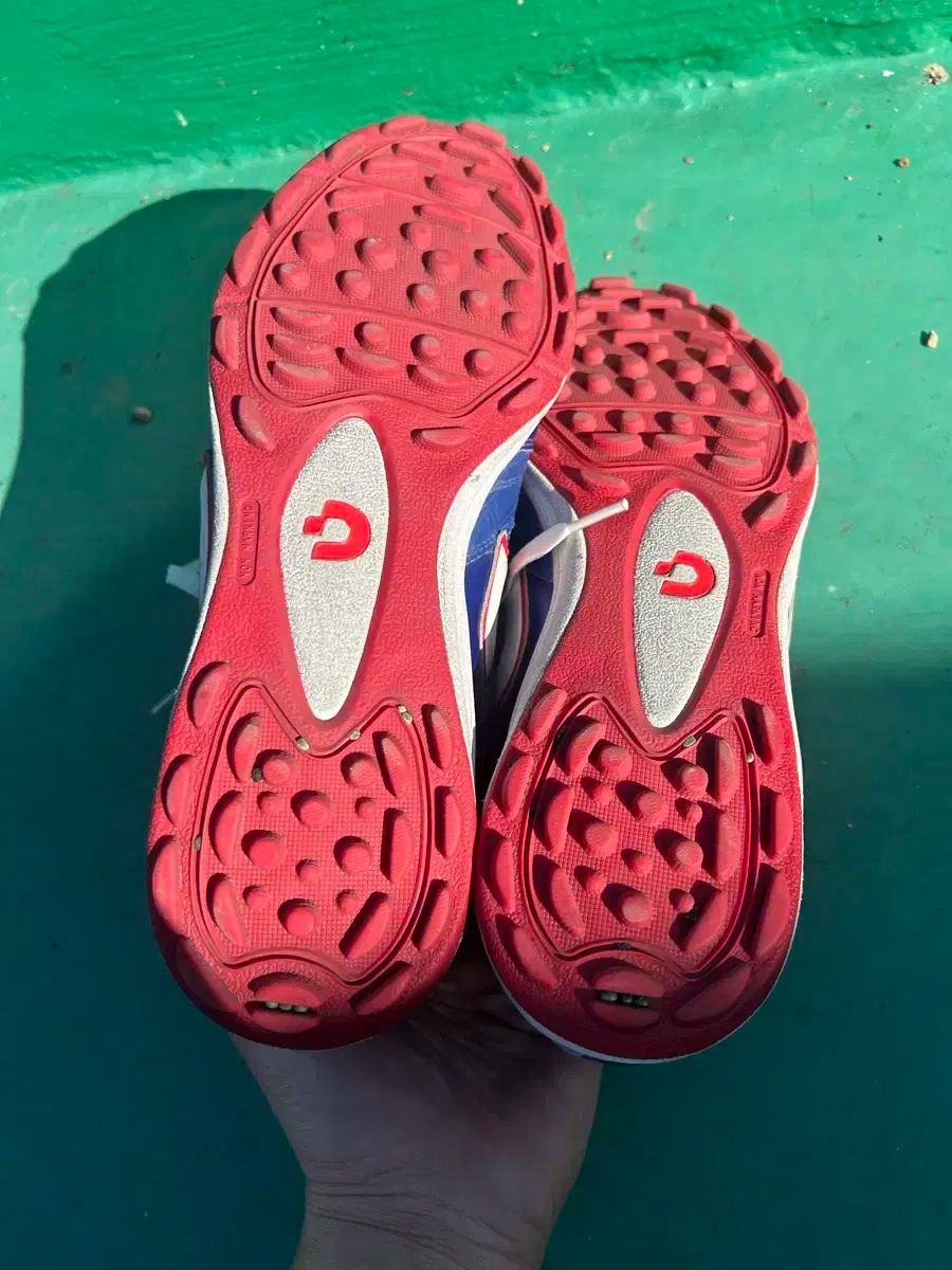 デスポルチ サンルイス 275