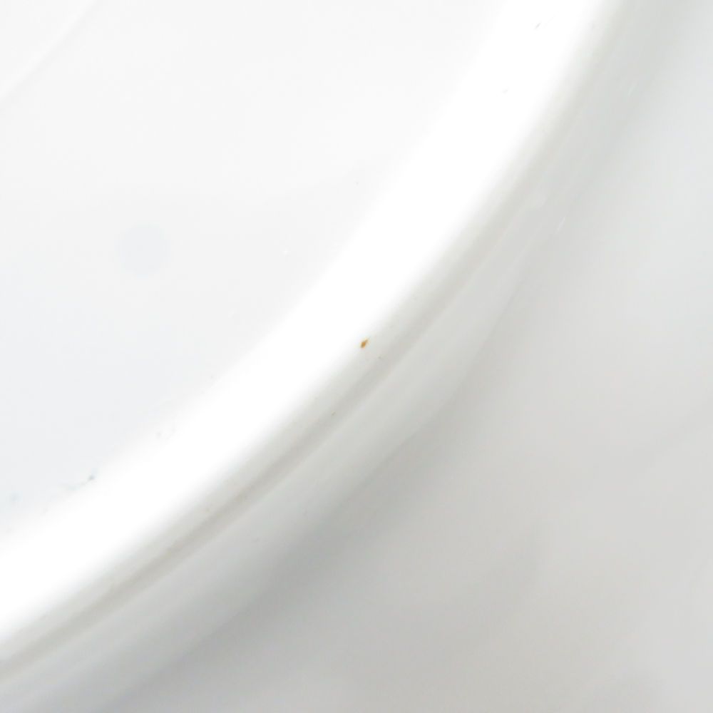 OKURA 大倉陶園 ブルーローズ 8011 大皿 2枚 ペア 26cmプレート ミート皿 SC9422C2 WWW_OPDRERGINERDOGAN_COM