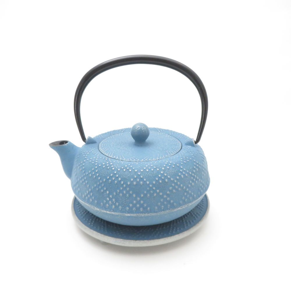 美品 南部鉄器 岩鋳 IWACHU 急須 鉄瓶 カラーポット茶器 日本製