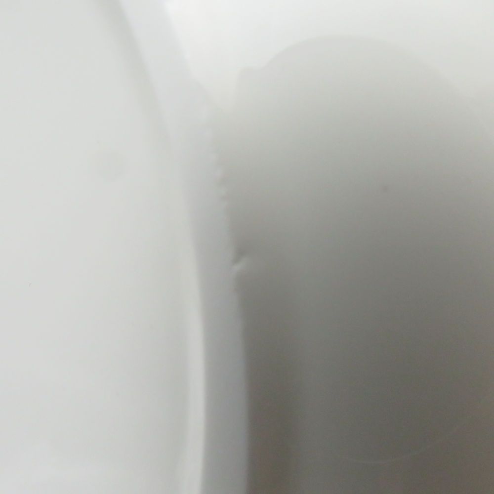 WEDGWOOD ウェッジウッド フロレンティーン ヴェルデ スーププレート 23cmプレート ディープ レンジ 食洗機可 SC9460B2 WWW_OPDRERGINERDOGAN_COM