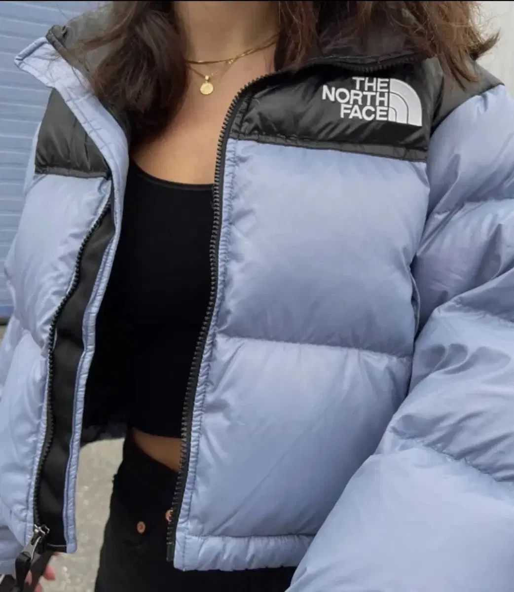 THE NORTH FACE ザノースフェイス レディース Nuptse ヌプシ 700 ショートダウン ポークブルー M