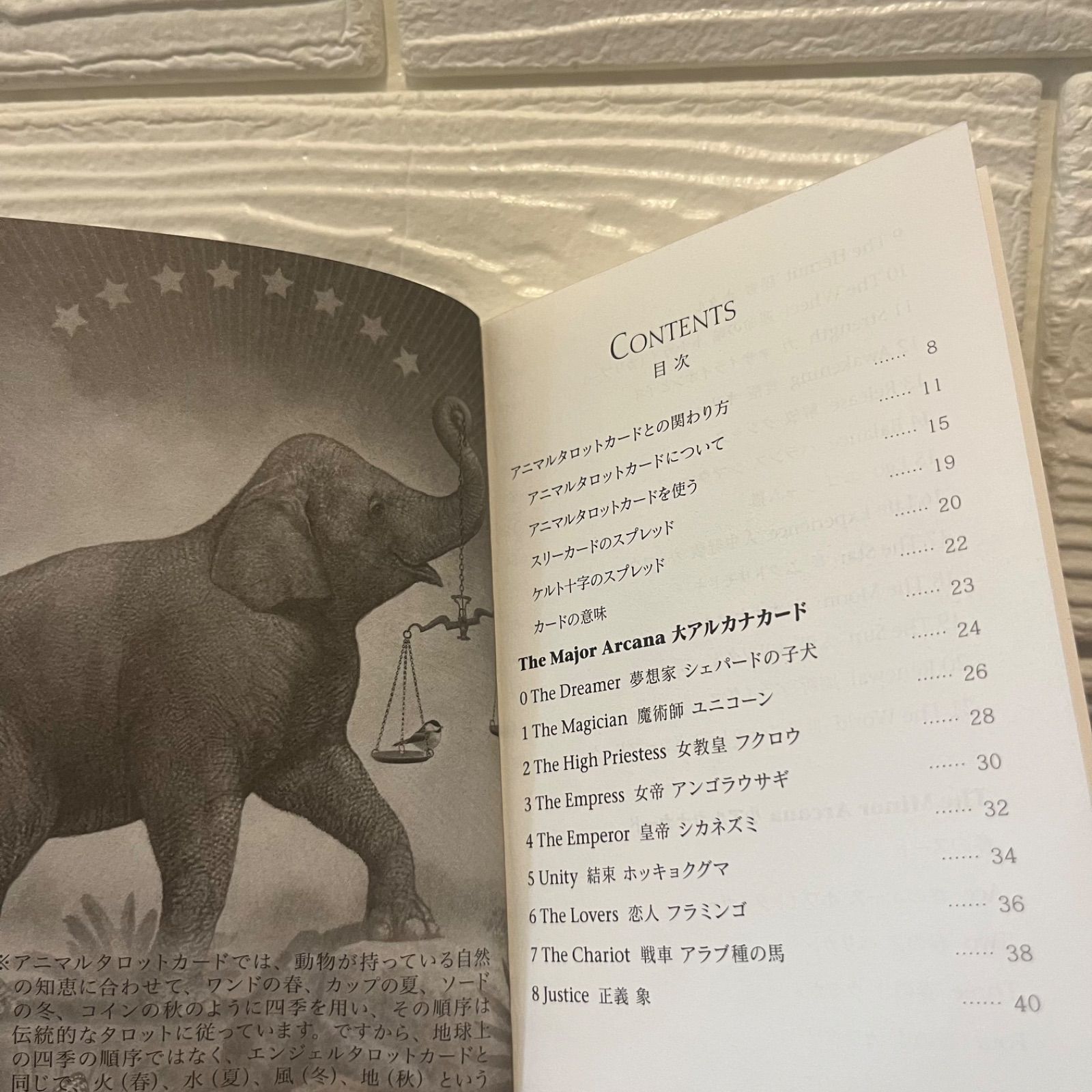 animalタロットカード 日本語版