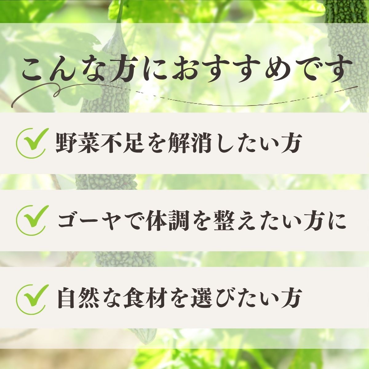 自然健康社 ゴーヤ粉末