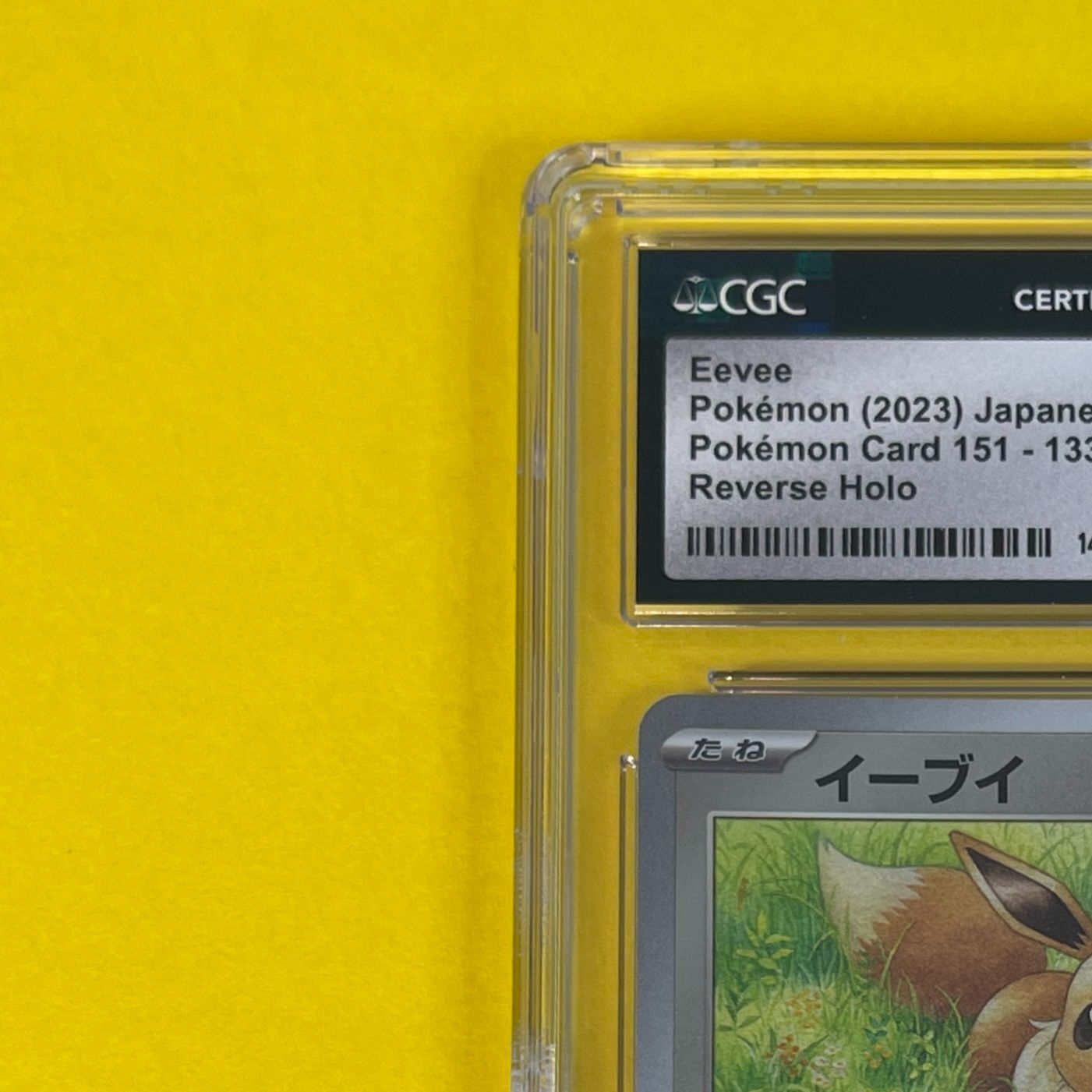 イーブイ C SV2a ポケモンカード151 133/165 イーブイ【C】{133/165}