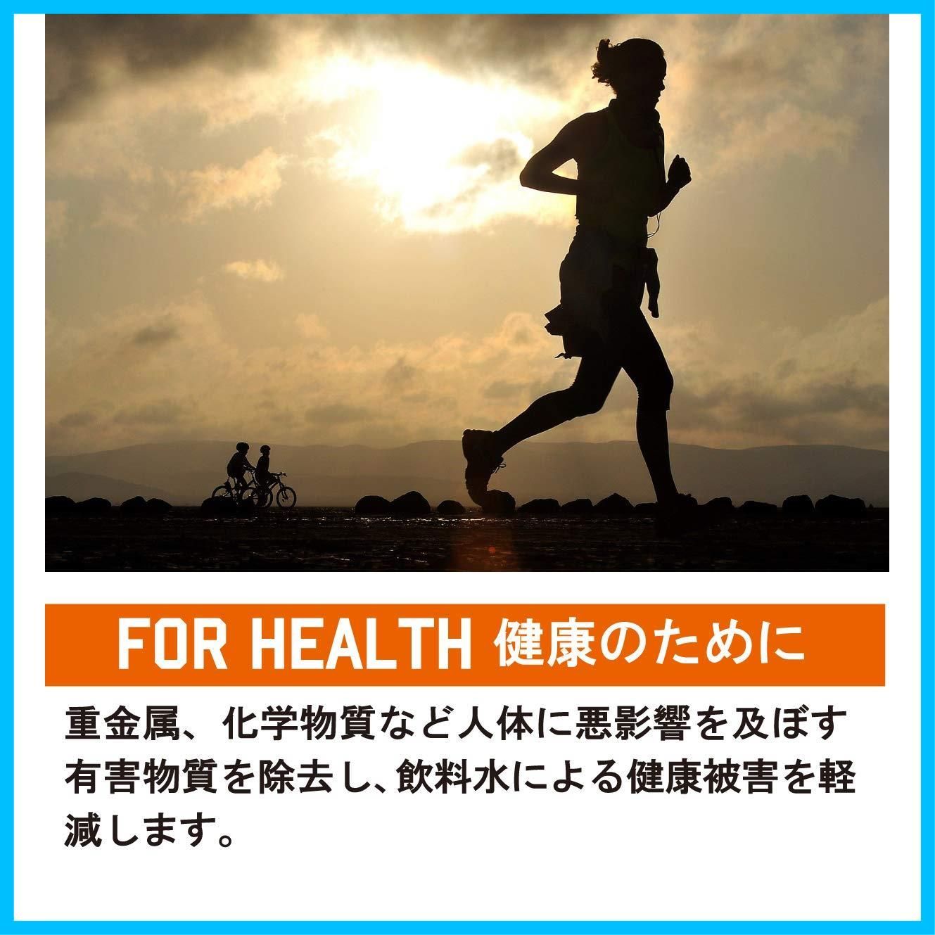 サバイバル プロ 交換用アドバンスフィルター 380ml ブラック