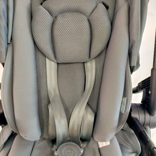 カーボン モデル