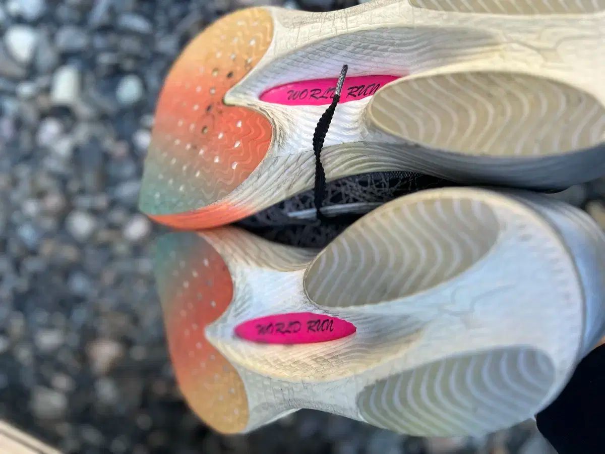 전마협 전마협 슈 シュー 플라이트 フライト 젤 ゲル 280 280 전마협シューフライトゲル280