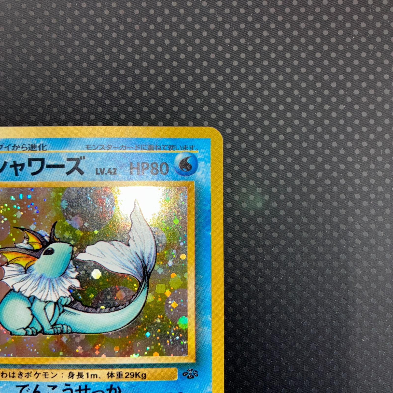 旧裏　キラ20枚　拡張シート45枚　ノーマル被り無し　450枚以上　美品〜傷あり 旧裏 カメックス ややキズ折れあり わるいカメックス 状態悪い 他進化