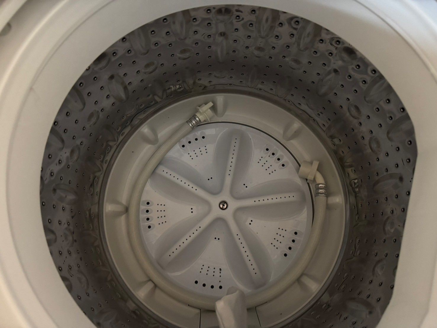  高年式 大阪 3か月保障付き 洗濯機 ヤマダ 6 kg YWM T 60 L SS 230 縦型洗濯機本体 縦型洗濯機