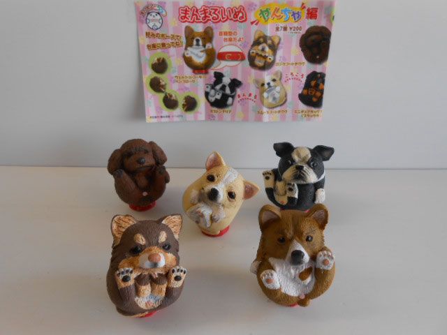 ♯Jqi22KZ まんまるどうぶつ まんまるいぬやんちゃ編人気5種 - メルカリ