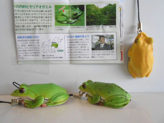 Jua25Cz　ネイチャー川内村のモリアオガエルマグネットスト10種 Jua25Cz ネイチャー川内村のモリアオガエルマグネットスト10種 - メルカリ