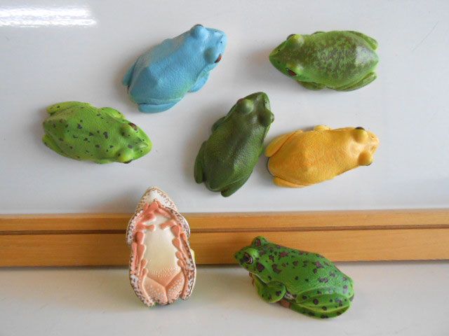 Jua25Cz　ネイチャー川内村のモリアオガエルマグネットスト10種 川内村のモリアオガエル マグネット×ストラップ – ネイチャー