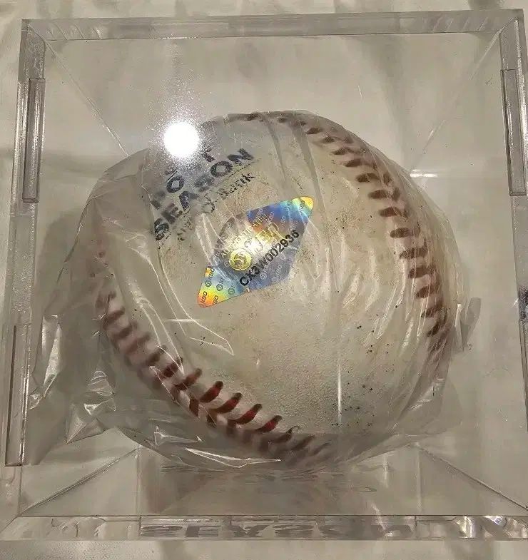 Hanwhae Eagles ハンファ イーグルス フォンス ポストシーズン プレーオフ 第5戦 練習球